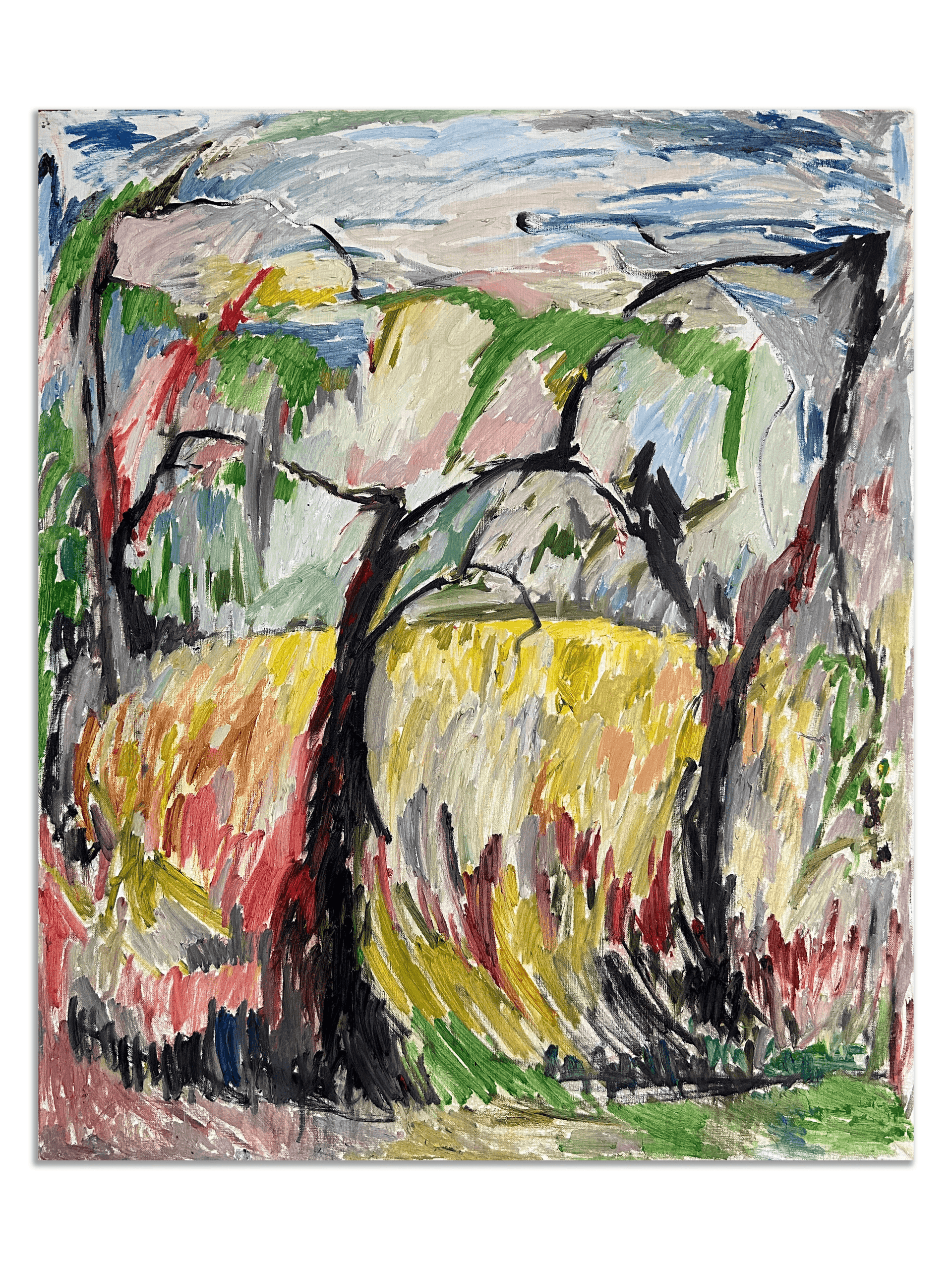 Landscape_Field