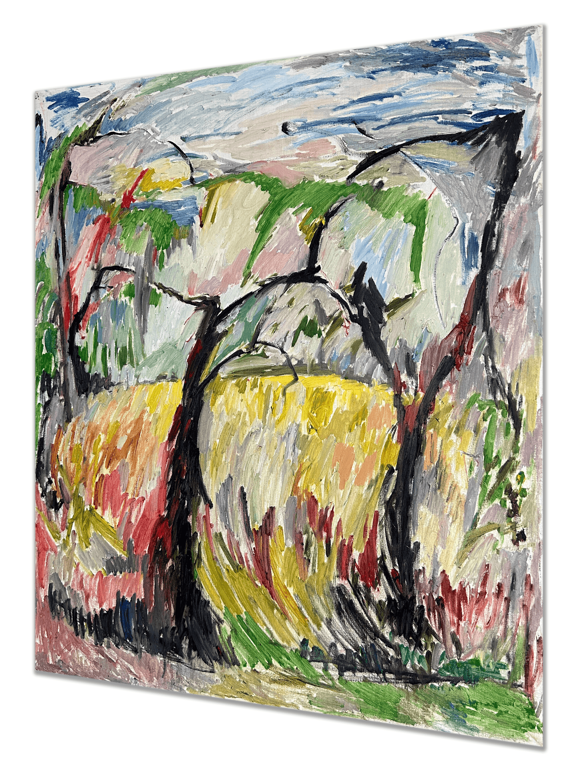 Landscape_Field